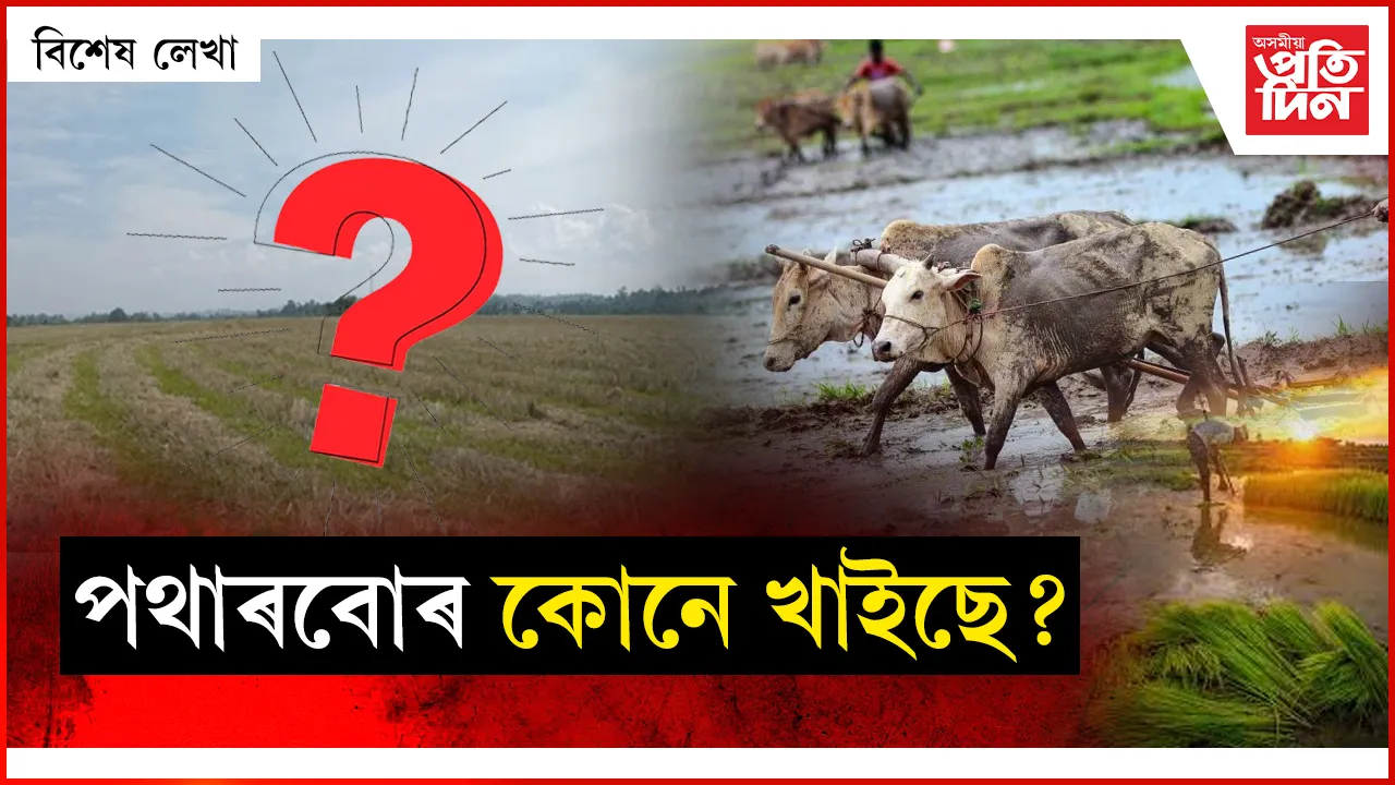 পথাৰ