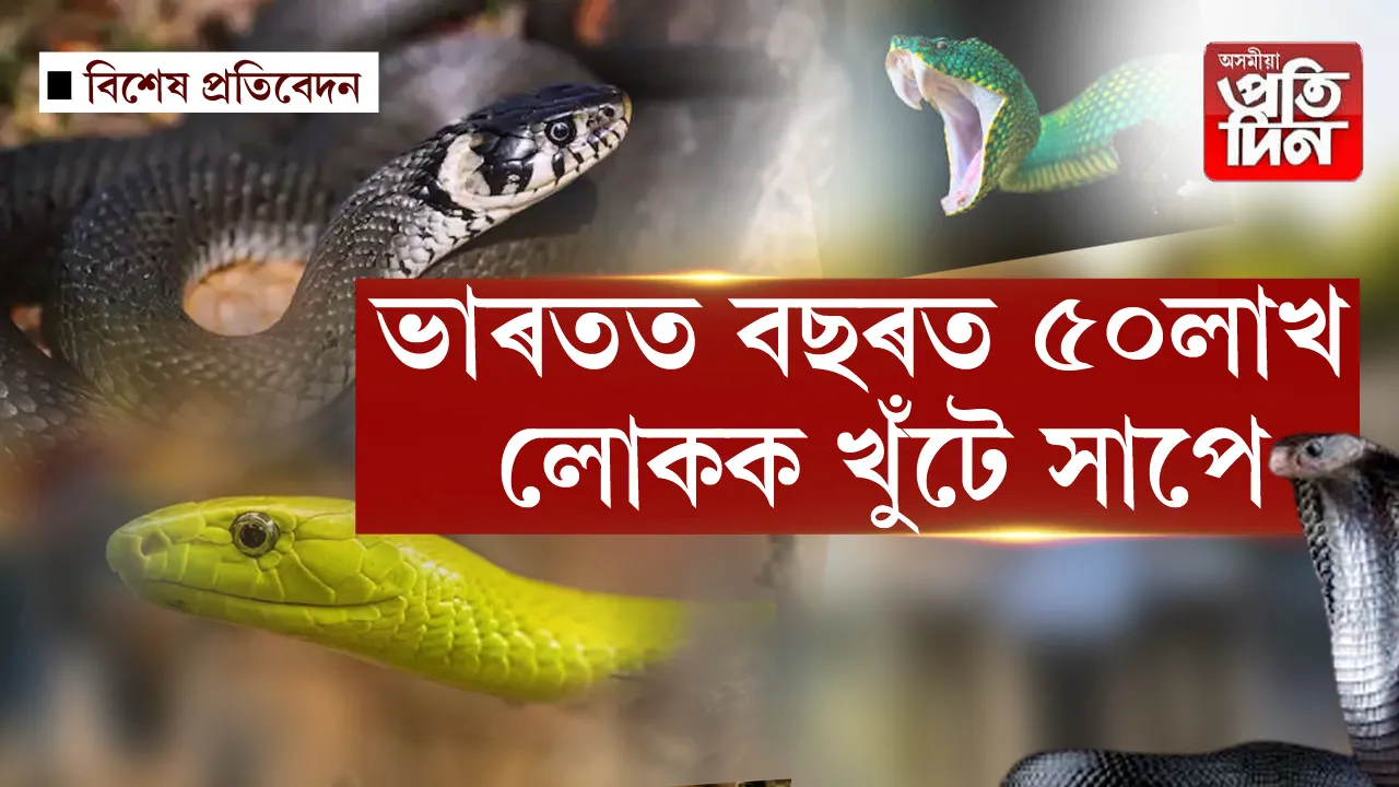 সাপ