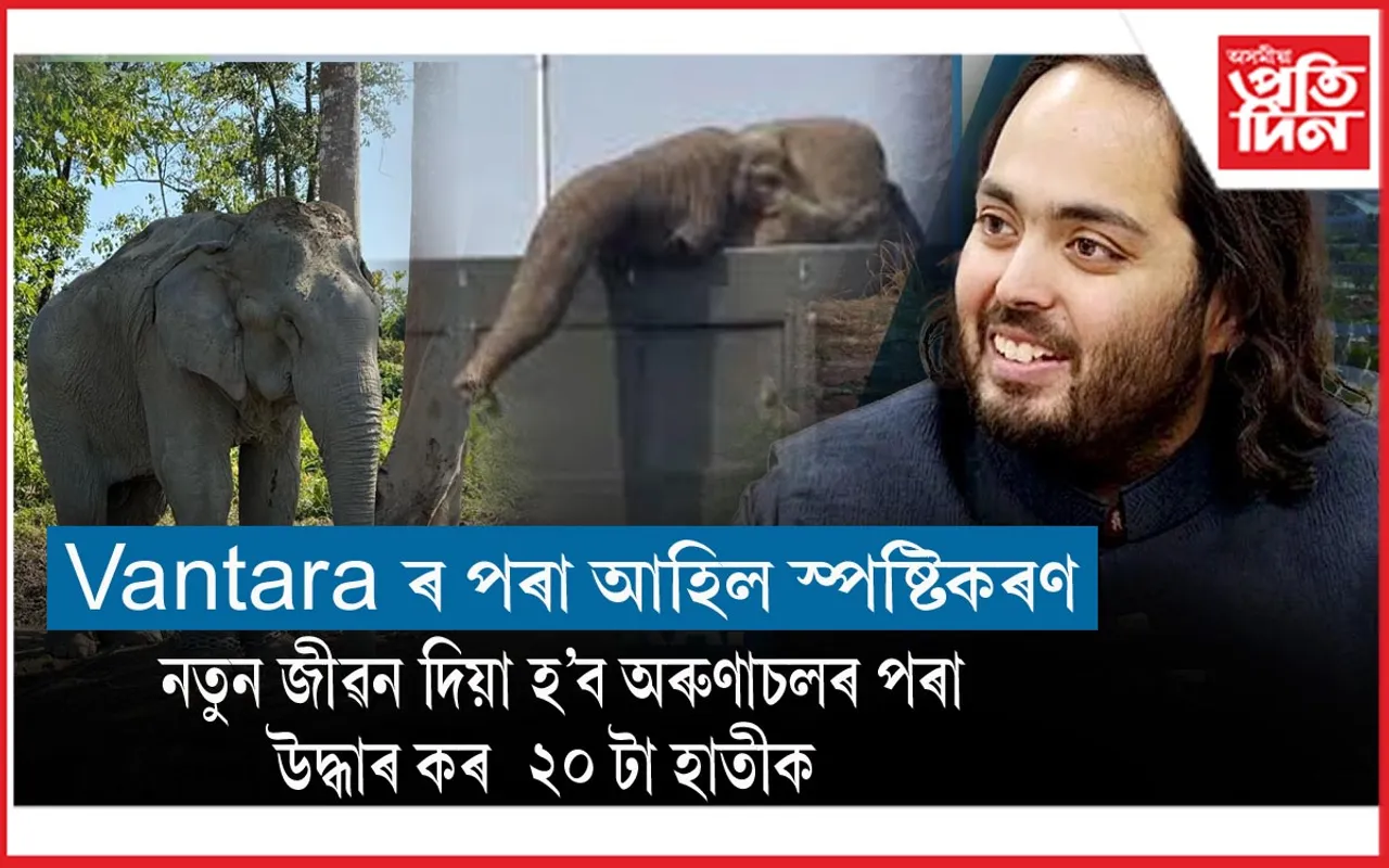 হাতী সৰবৰাহক লৈ অসমত হোৱা তীব্ৰ বিতৰ্কৰ মাজতে অনন্ত আম্বানীয়েও দিলে প্ৰতিক্ৰিয়া...