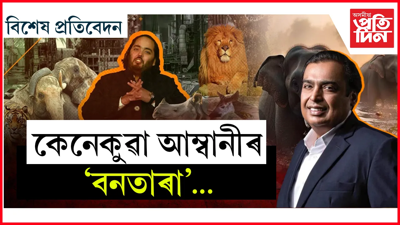 বনতাৰা