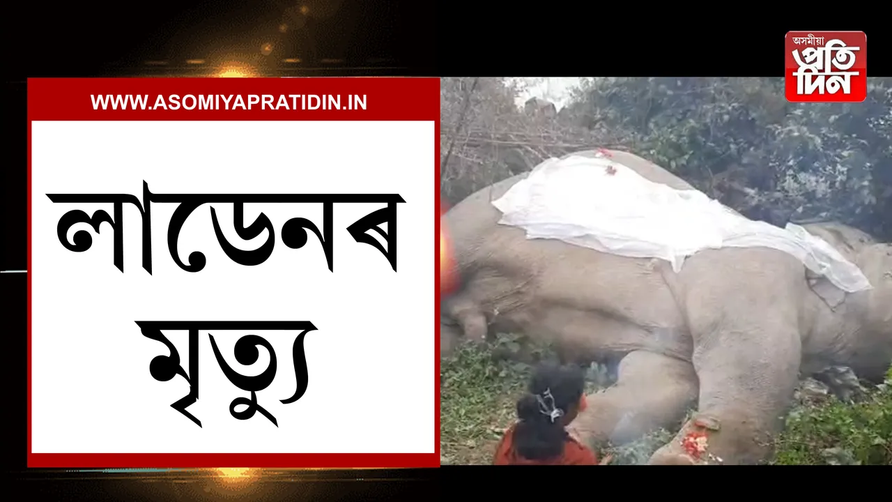 লাডেন 