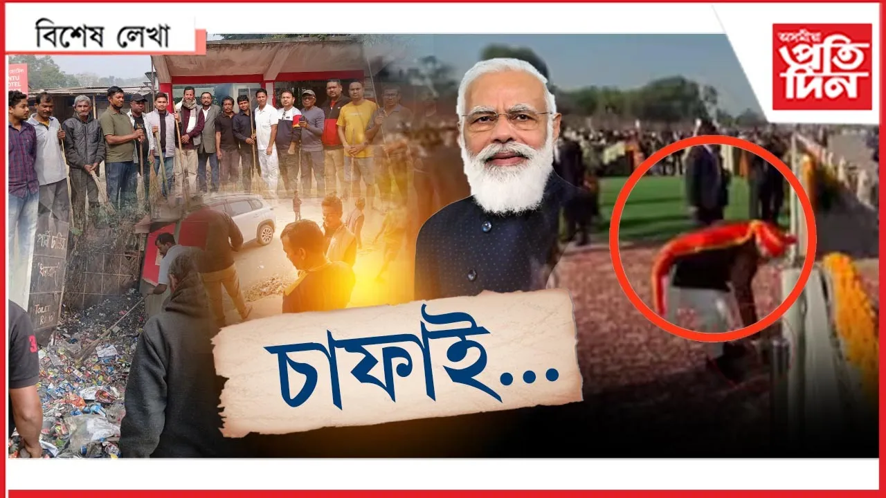 চাফাই