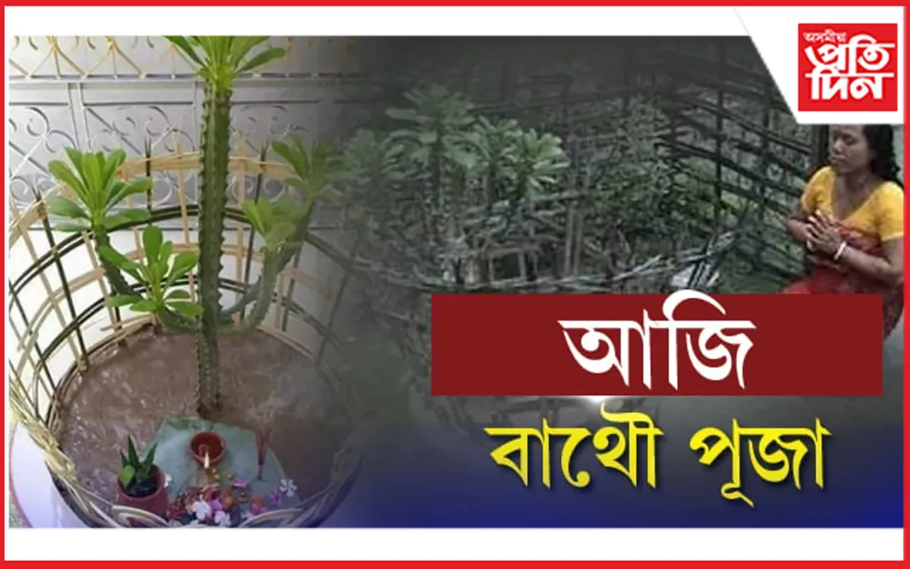 আজি পৱিত্ৰ বাথৌ পূজা