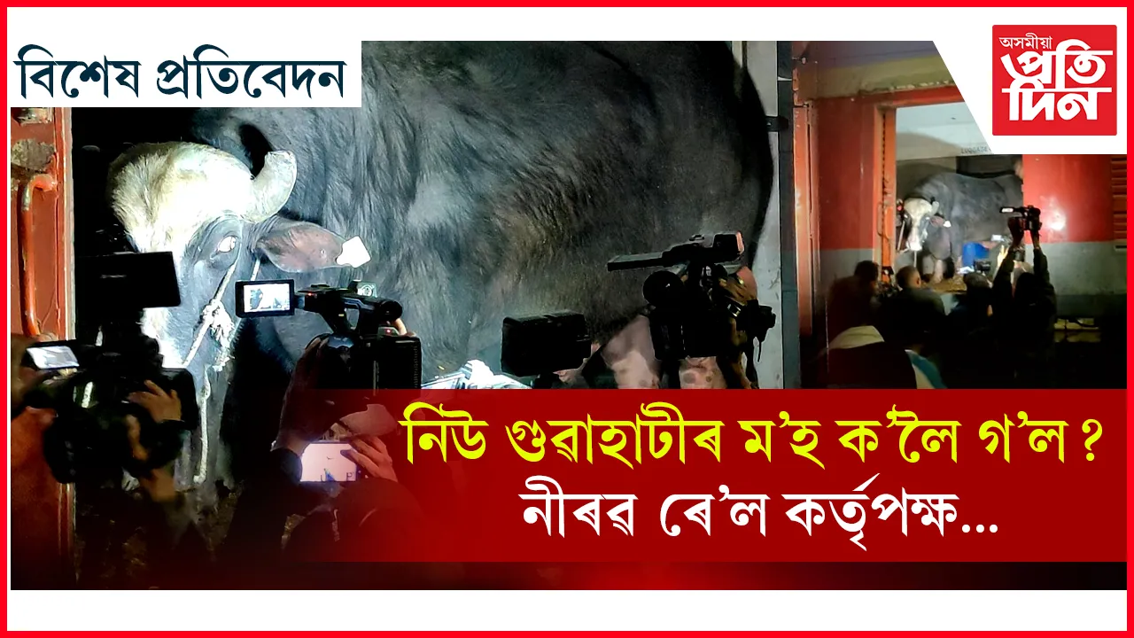পুৱতি নিশা এন জি গুডামত নমাই অজ্ঞাত স্থানলৈ উলিয়াই নিলে ৪০০ ম’হ…