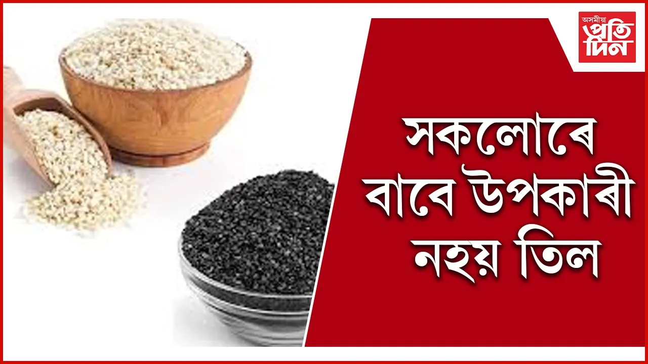 sesame seeds
