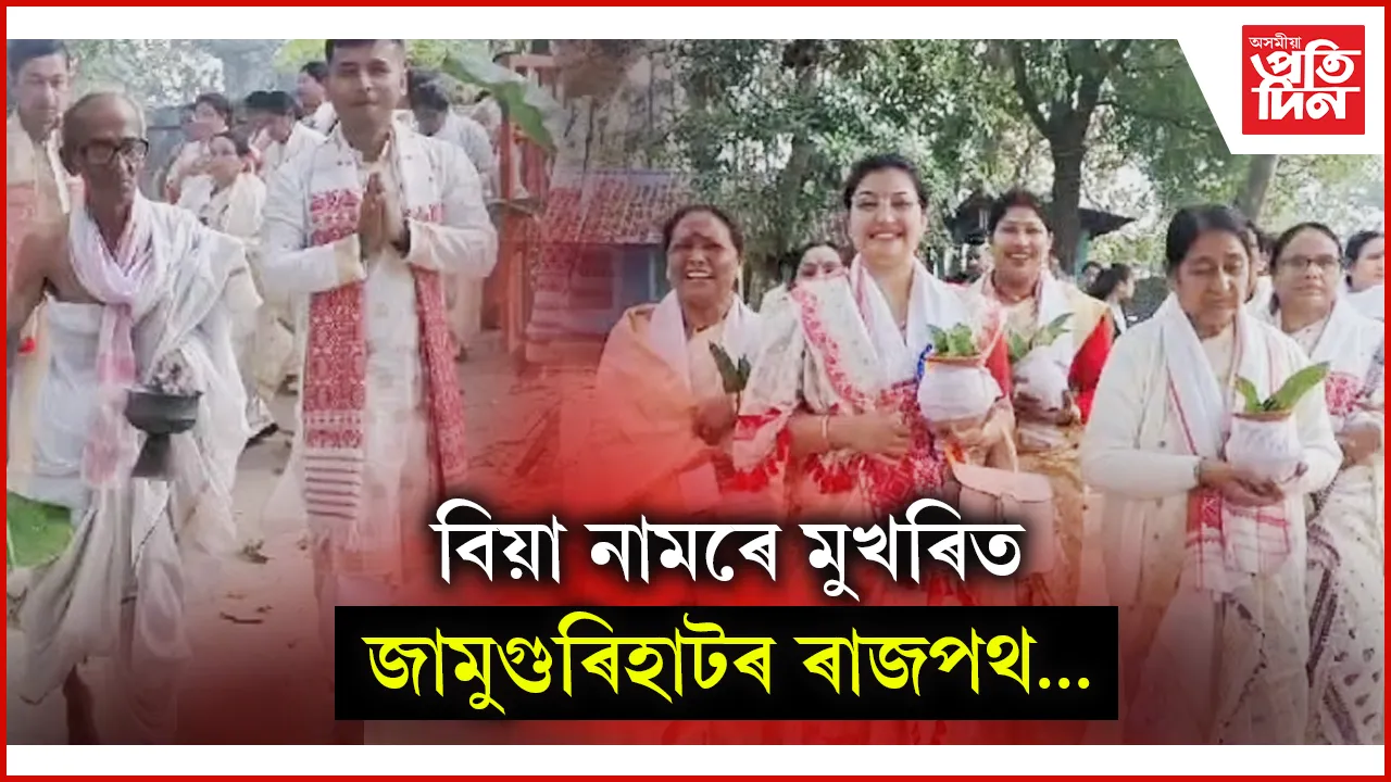 িুিুি
