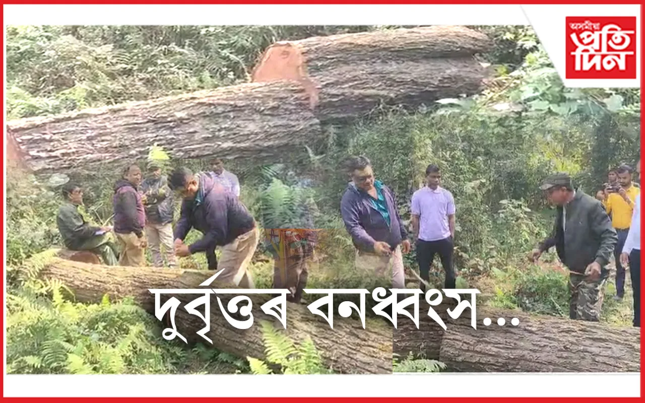 েে্ে্ে্
