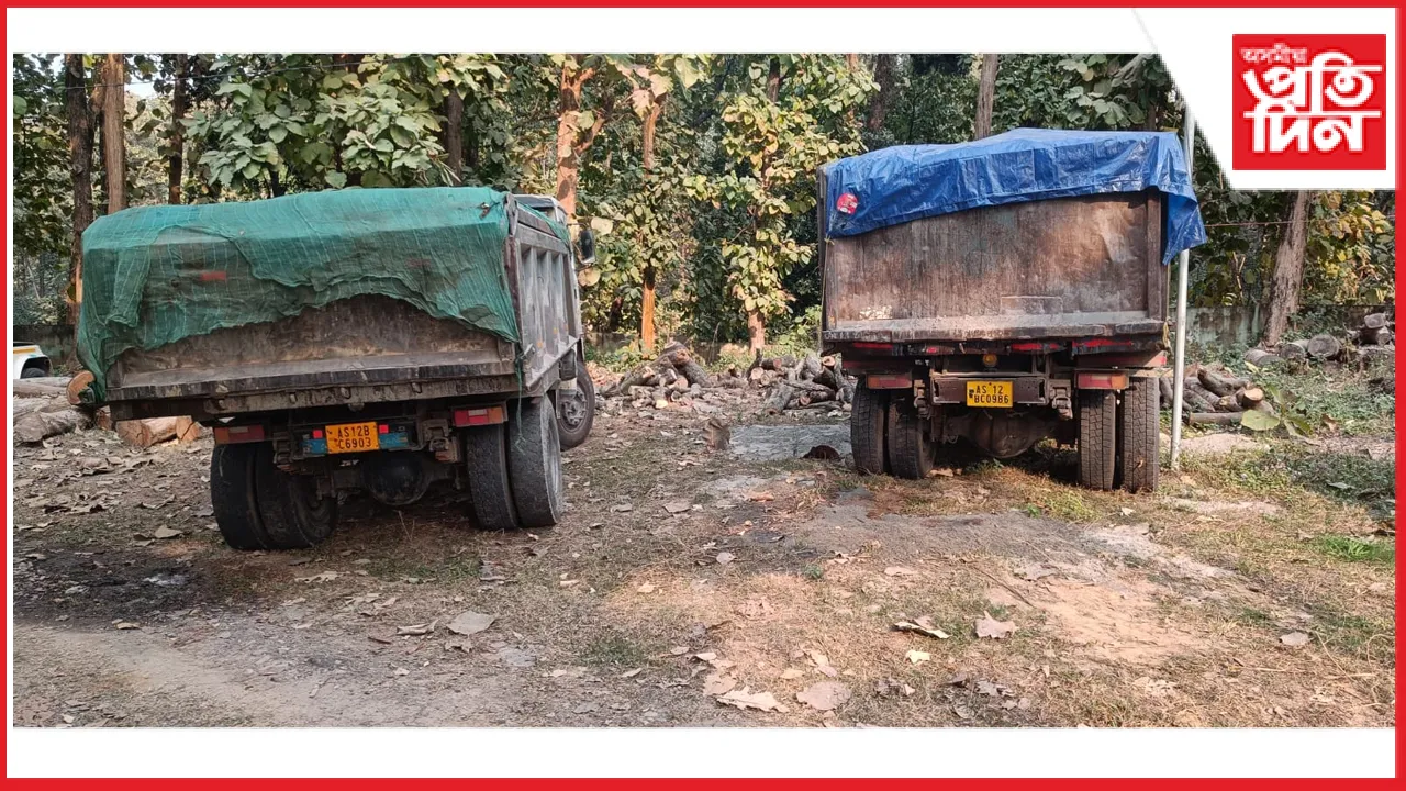 তেজপুৰত বন বিভাগৰ অভিযানত চোৰাং বালি ভৰ্তি চাৰিখন বাহন জব্দ...
