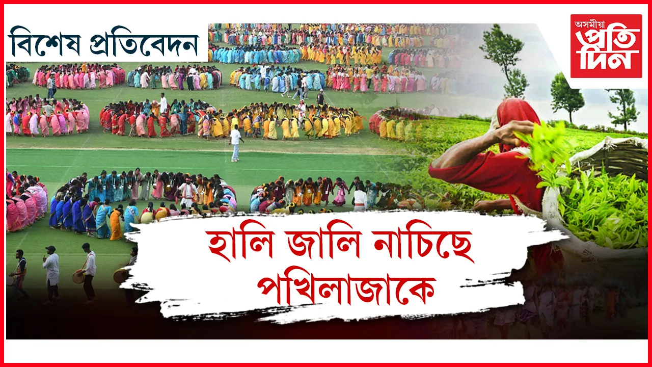পদূলিত নহয়, চৰাঘৰলৈ নিয়ক চাহ জনগোষ্ঠীক...