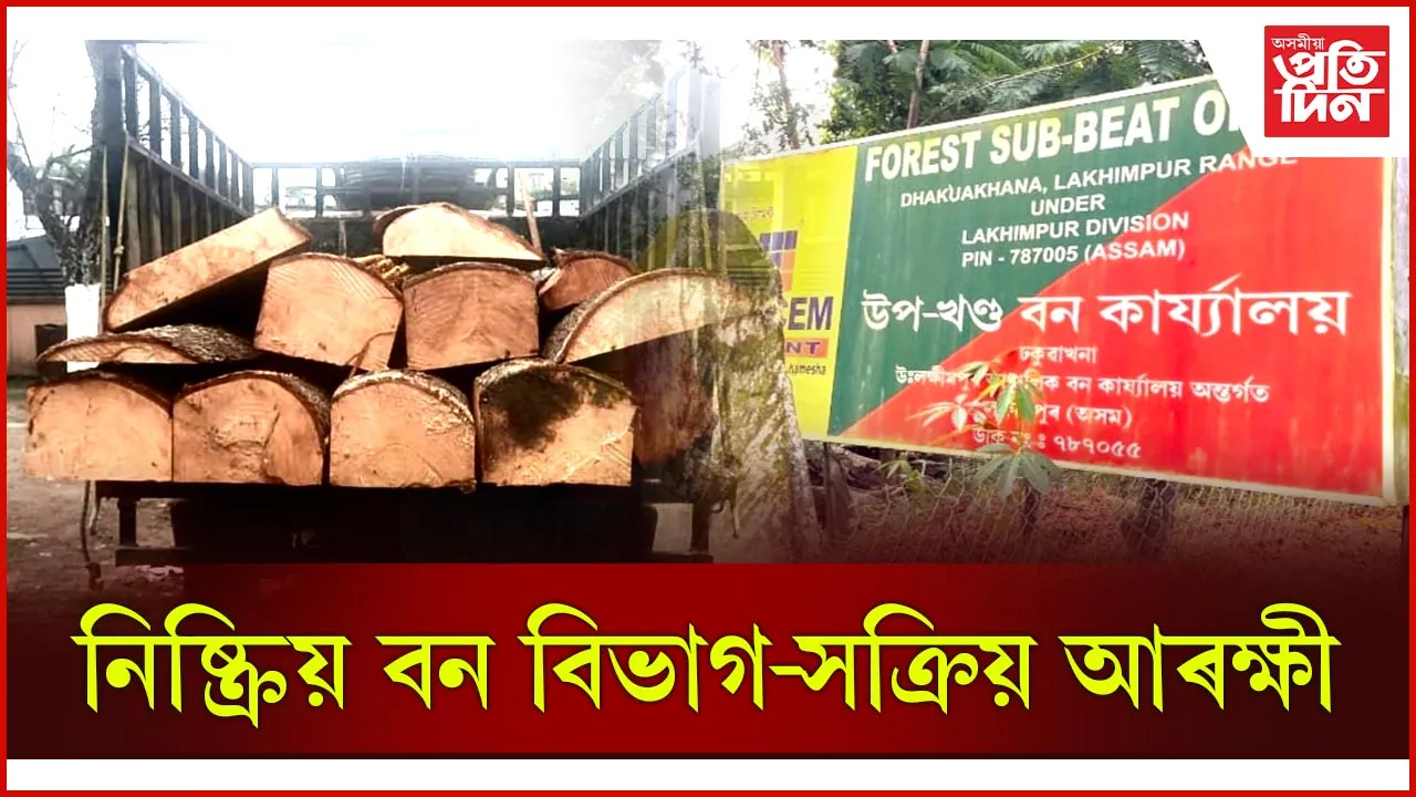 ঢকুৱাখনাত চোৰাং বনজ সম্পদসহ বাহন জব্দ