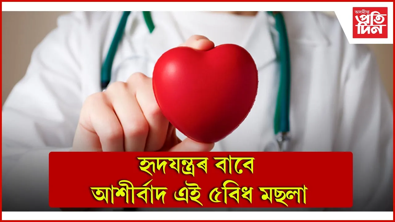 হৃদযন্ত্ৰ