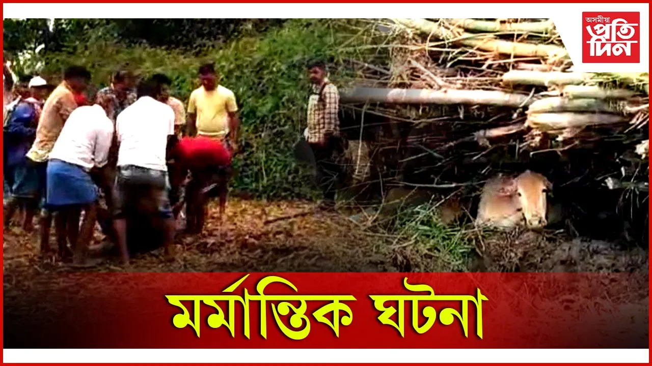 মৰ্মান্তিক ঘটনা