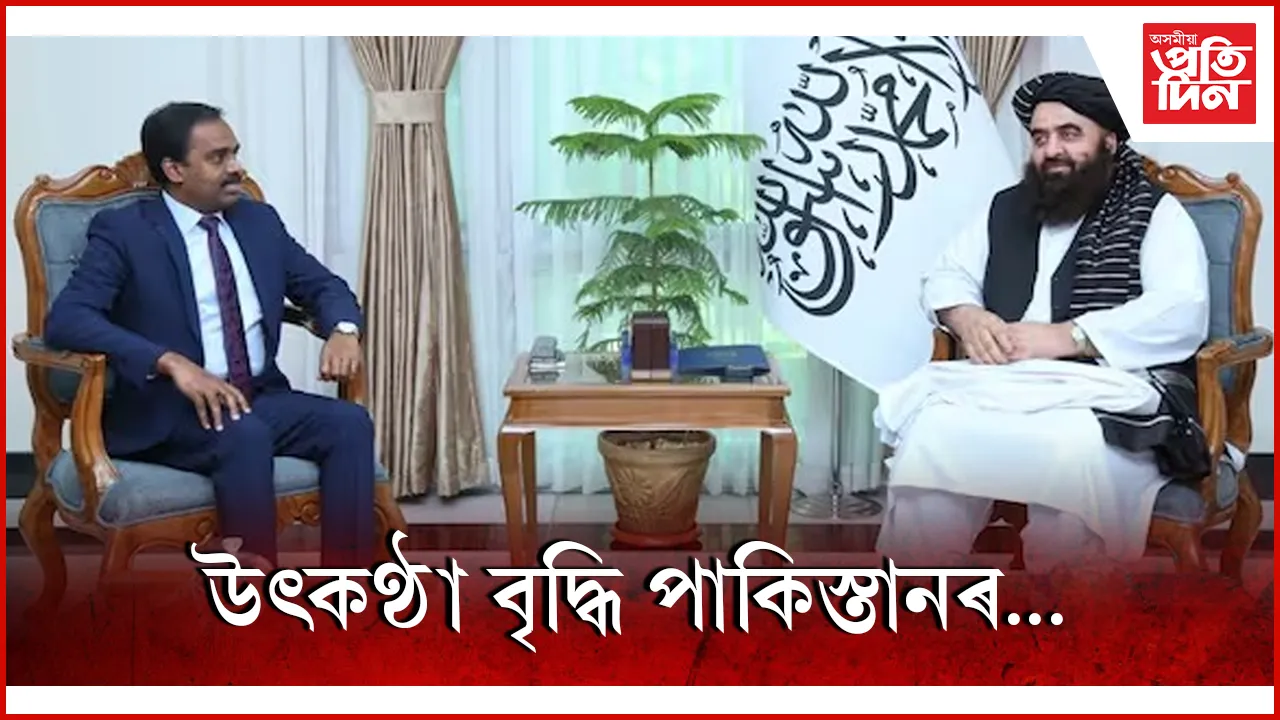 ্িু্িু