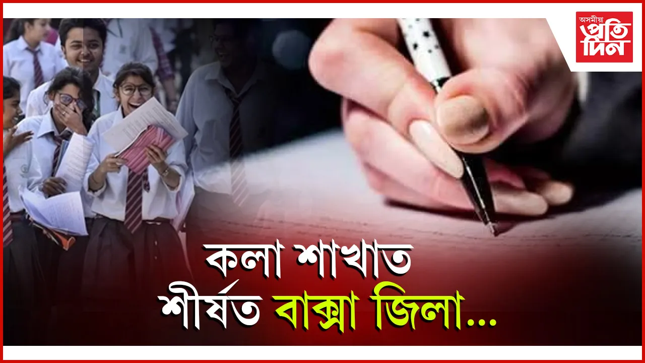 কলা শাখা web