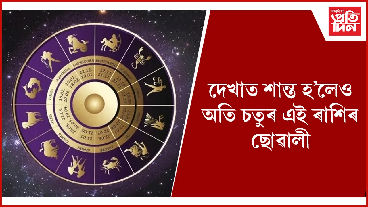 web ap rakhi