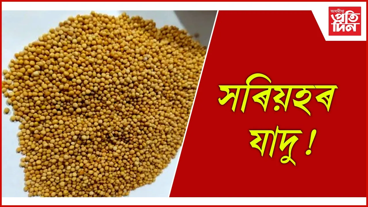 সৰিয়হ