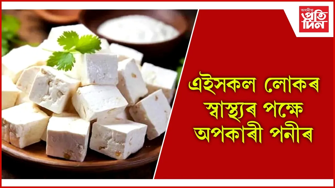 paneer৫৫