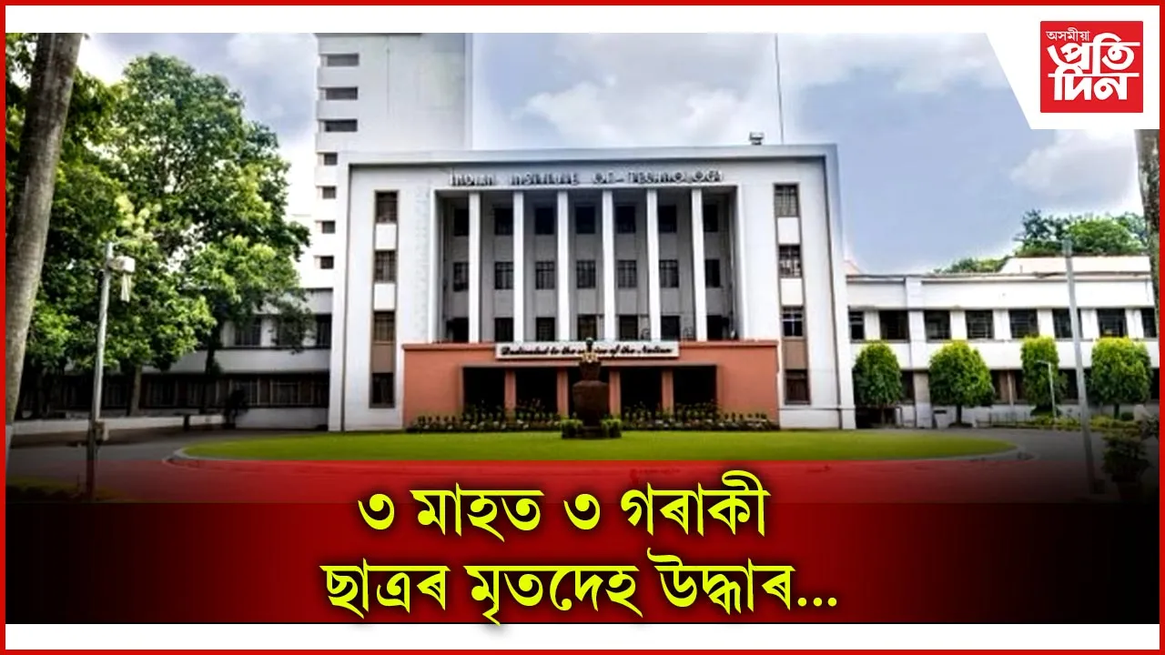 ্িু্িু