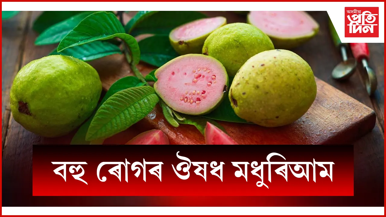 মধুৰিআম web