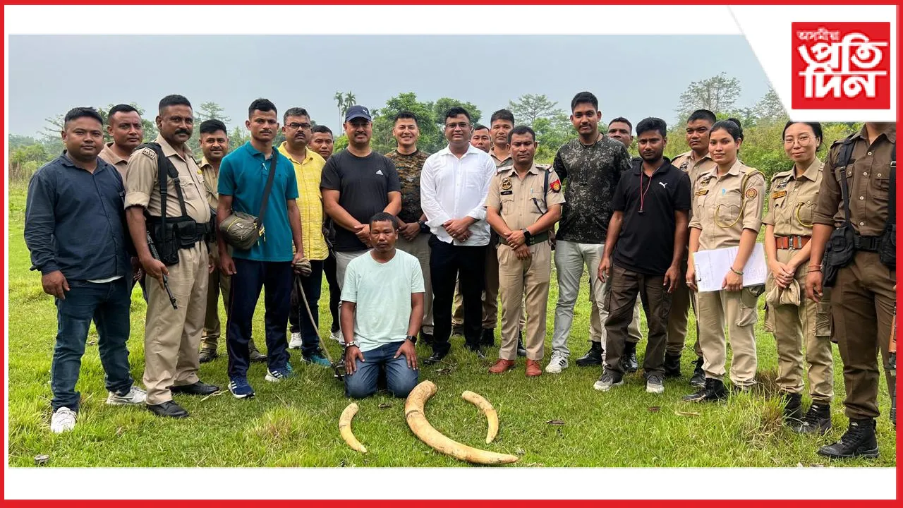 হাতী দাঁতৰ সৈতে চাৰি চোৰাং চিকাৰিক গ্ৰেপ্তাৰ চিৰাং আৰক্ষীৰ....
