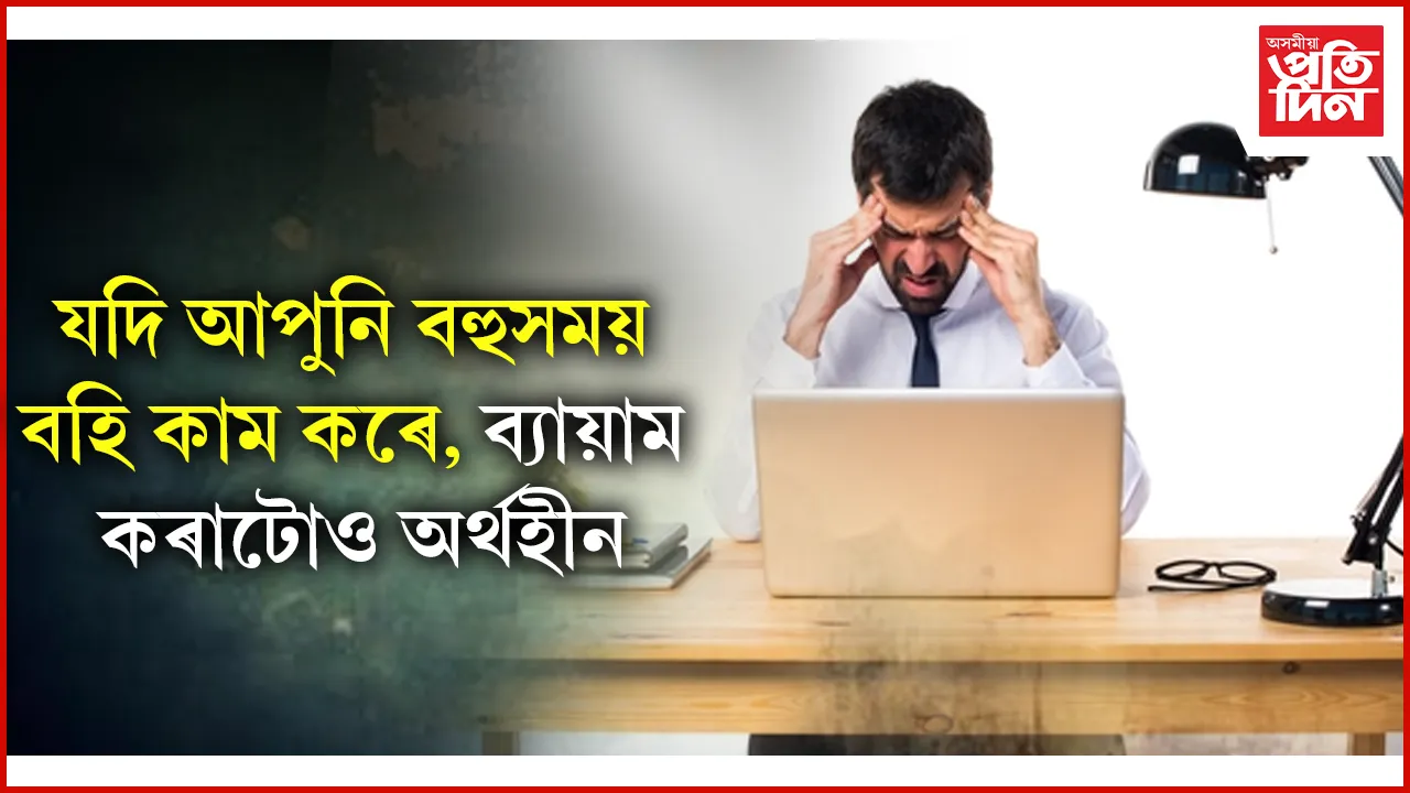 seo  web ap 14