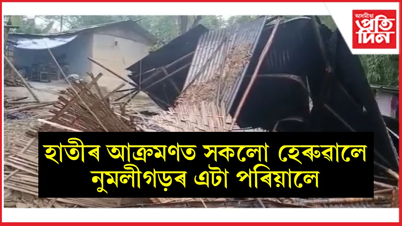 নুমলীগড়ত হাতীয়ে ভাঙিলে কেইবাটাও ঘৰঃ কোনোমতে প্ৰাণ ৰক্ষা শিশুসহ মহিলাৰ...