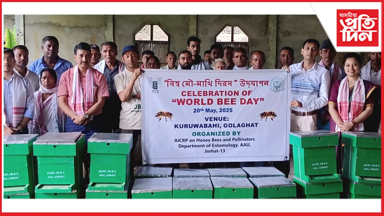 কুৰুৱাবাহীত বিশ্ব মৌমাখি দিৱস উদযাপন : মৌ-পালনৰ সম্ভাৱনা আৰু প্ৰত্যাহ্বানৰ ওপৰত আলোচনা...