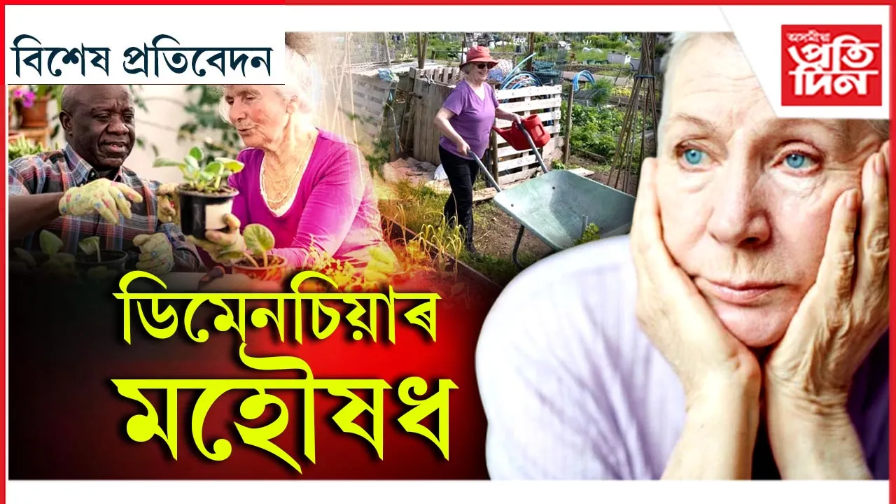 বাগিচা, কৃষি পামে সলনি কৰিব পাৰে জীৱন...