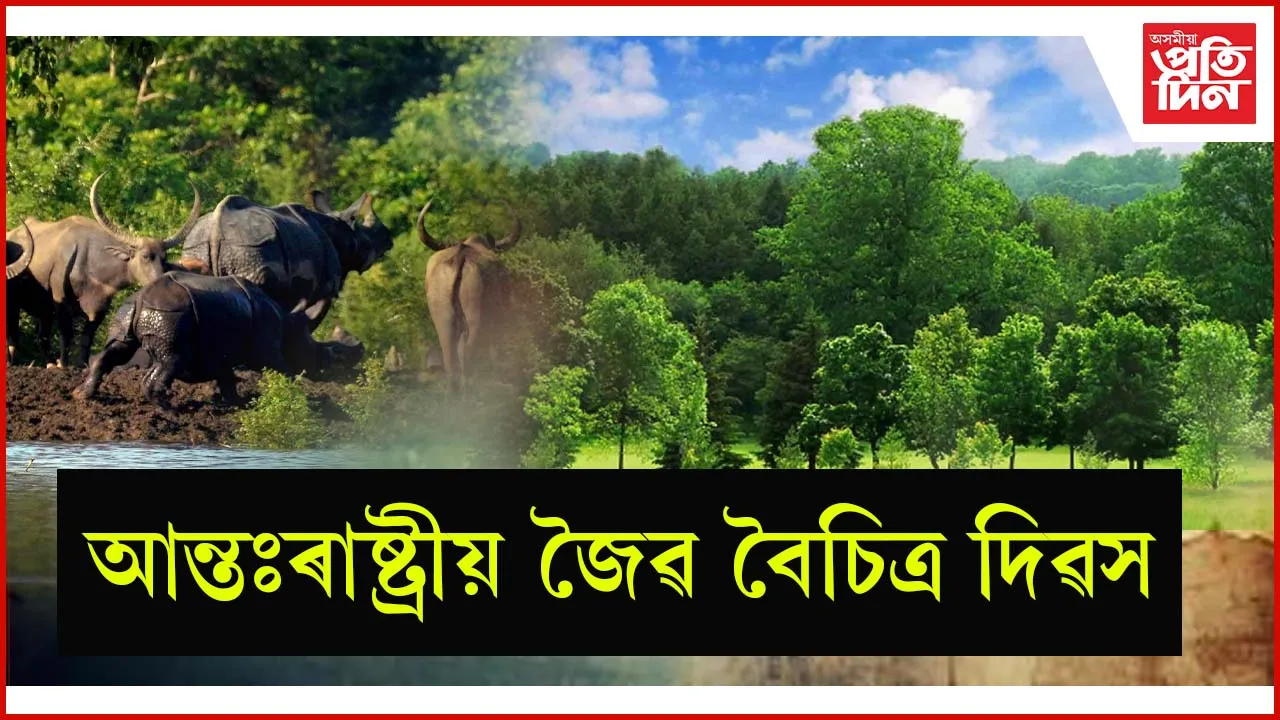 আজি আন্তঃৰাষ্ট্ৰীয় জৈৱ বৈচিত্ৰ দিৱস...