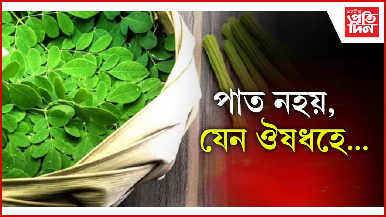 ঔষধ seo