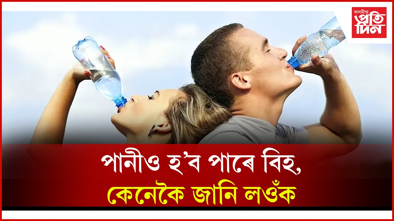 seo web পানী