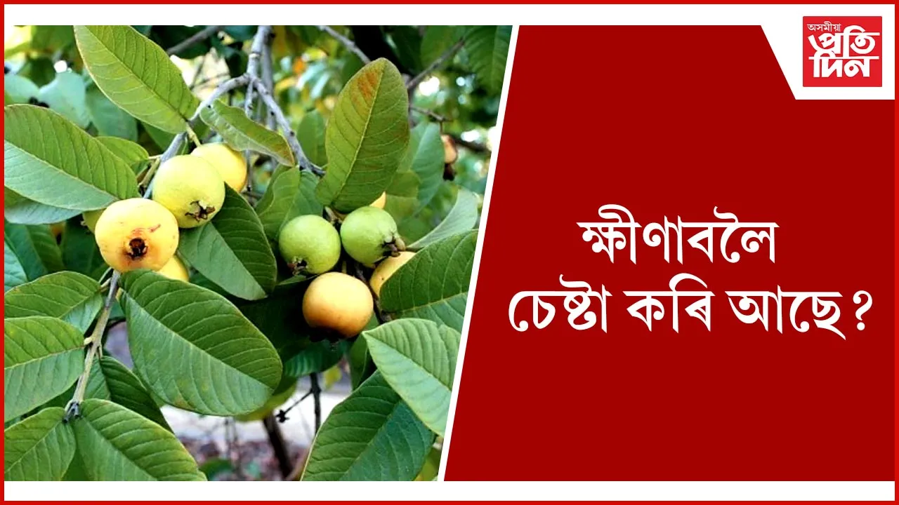ক্ষীণ