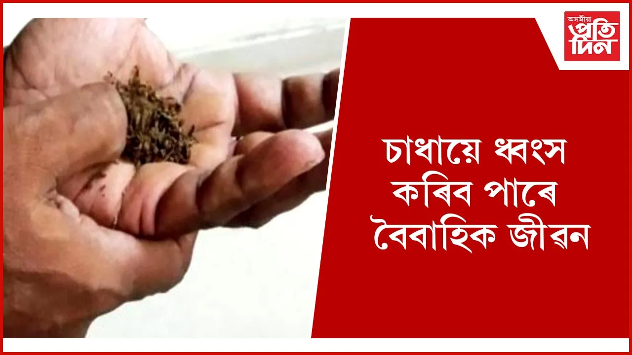 চাধা