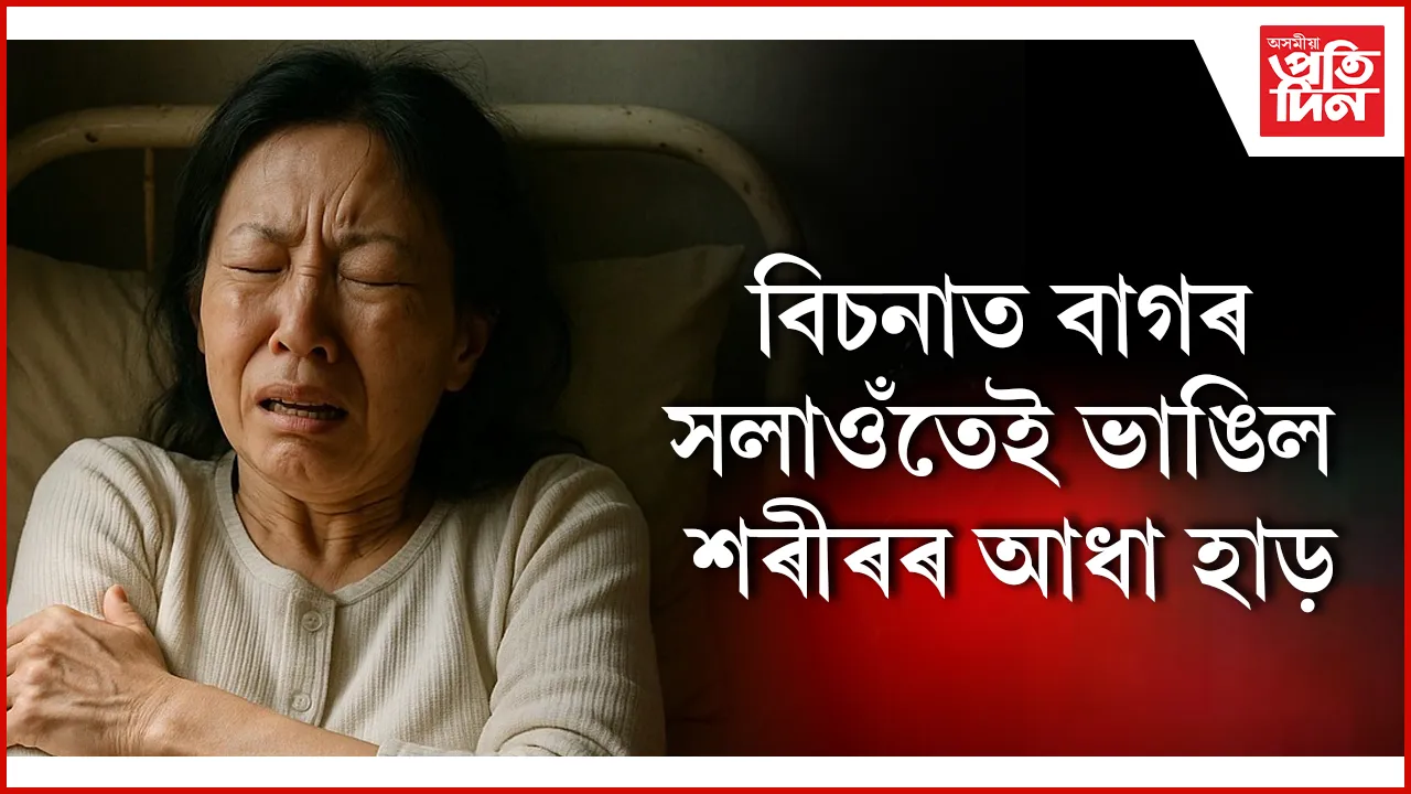 হাড় seo