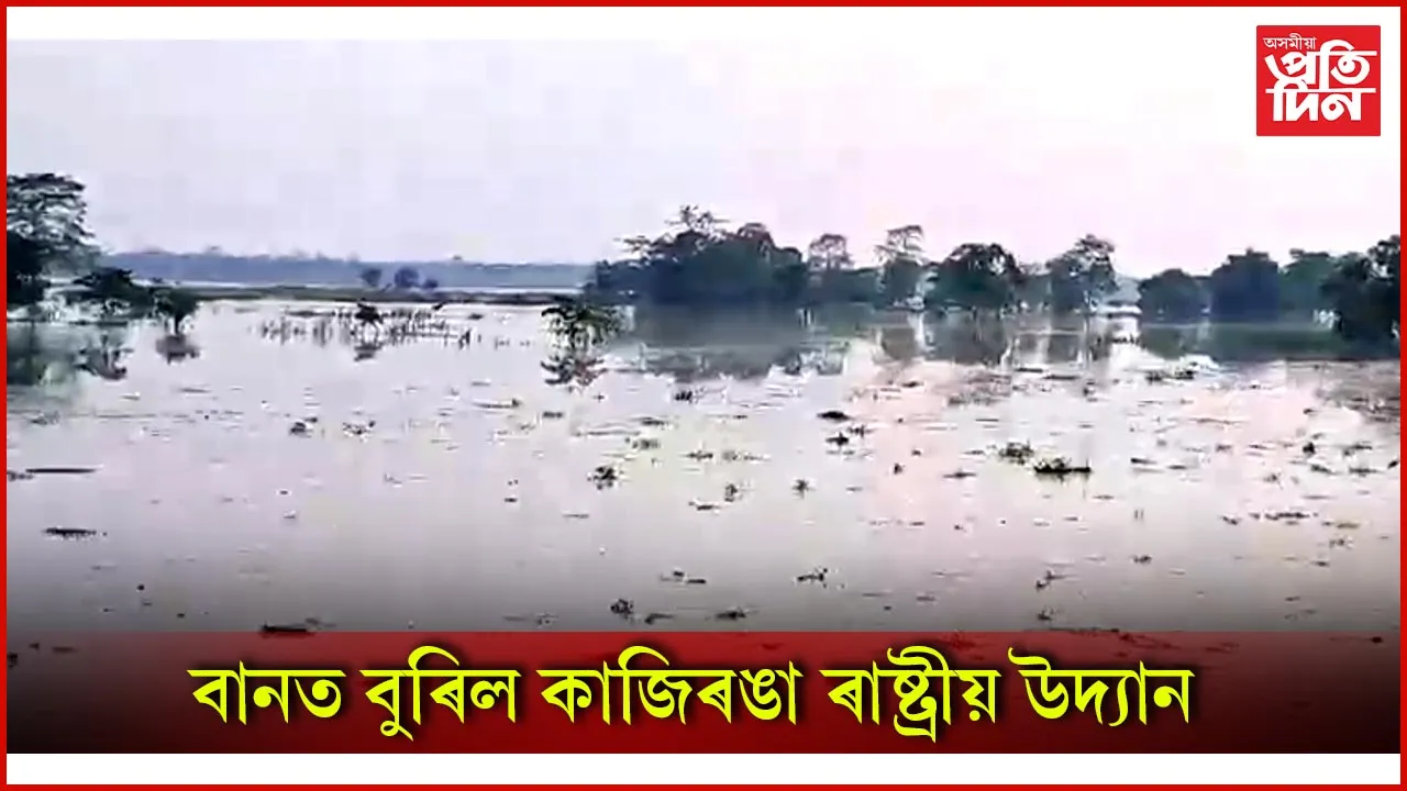 বানত বুৰিল কাজিৰঙা ৰাষ্ট্ৰীয় উদ্যান