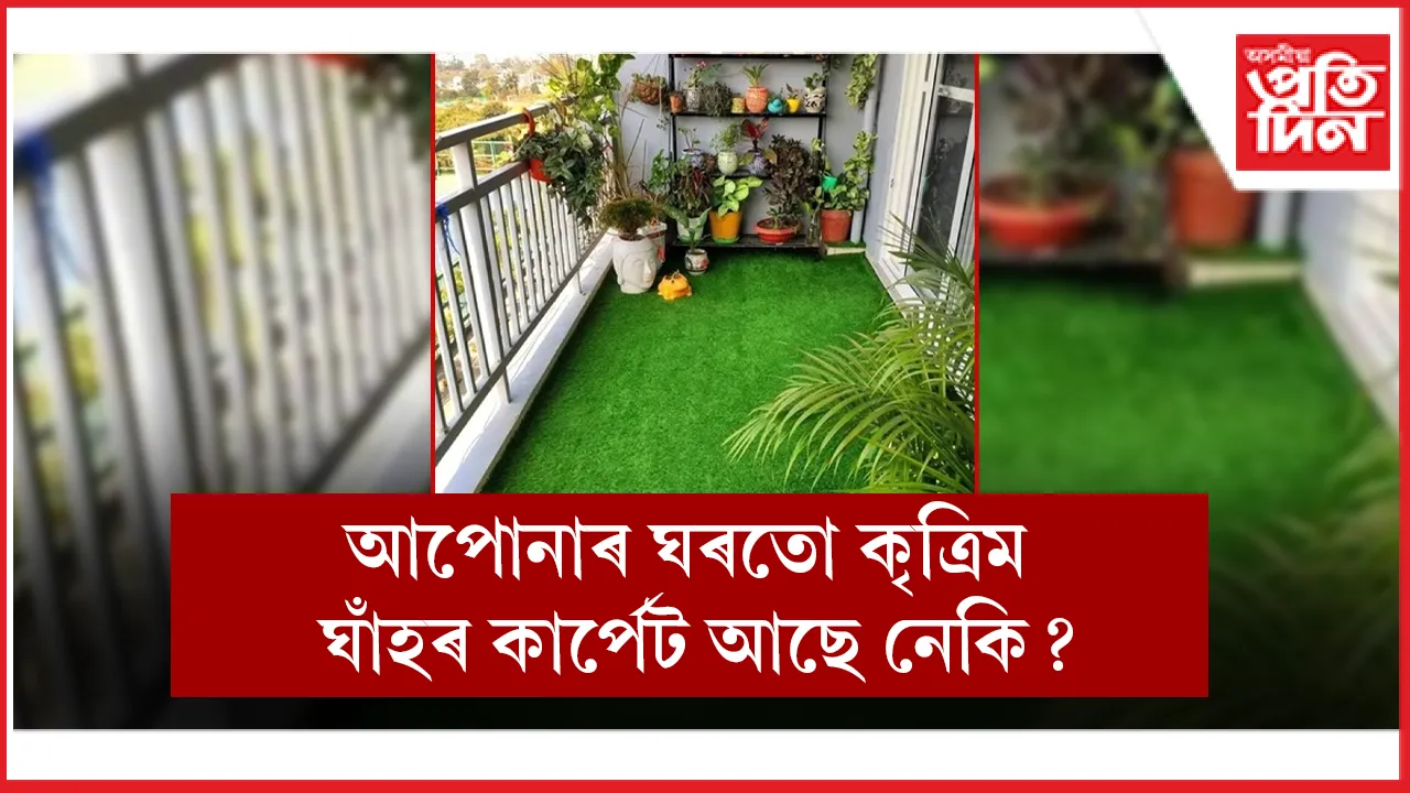 ত্ৰিম ঘাঁহ web