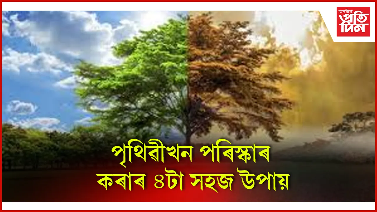 পৰিস্কাৰ  seo