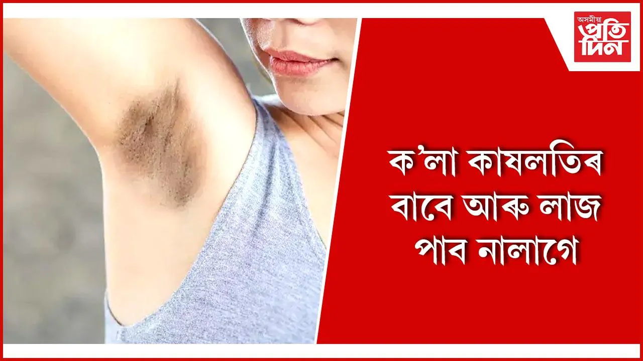 কাষলতি
