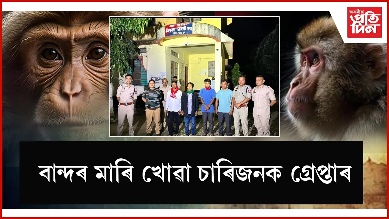 ঘিলামৰাৰ ৪ বান্দৰ ভক্ষণকাৰীক গ্ৰেপ্তাৰঃ বন বিভাগৰ গোচৰ