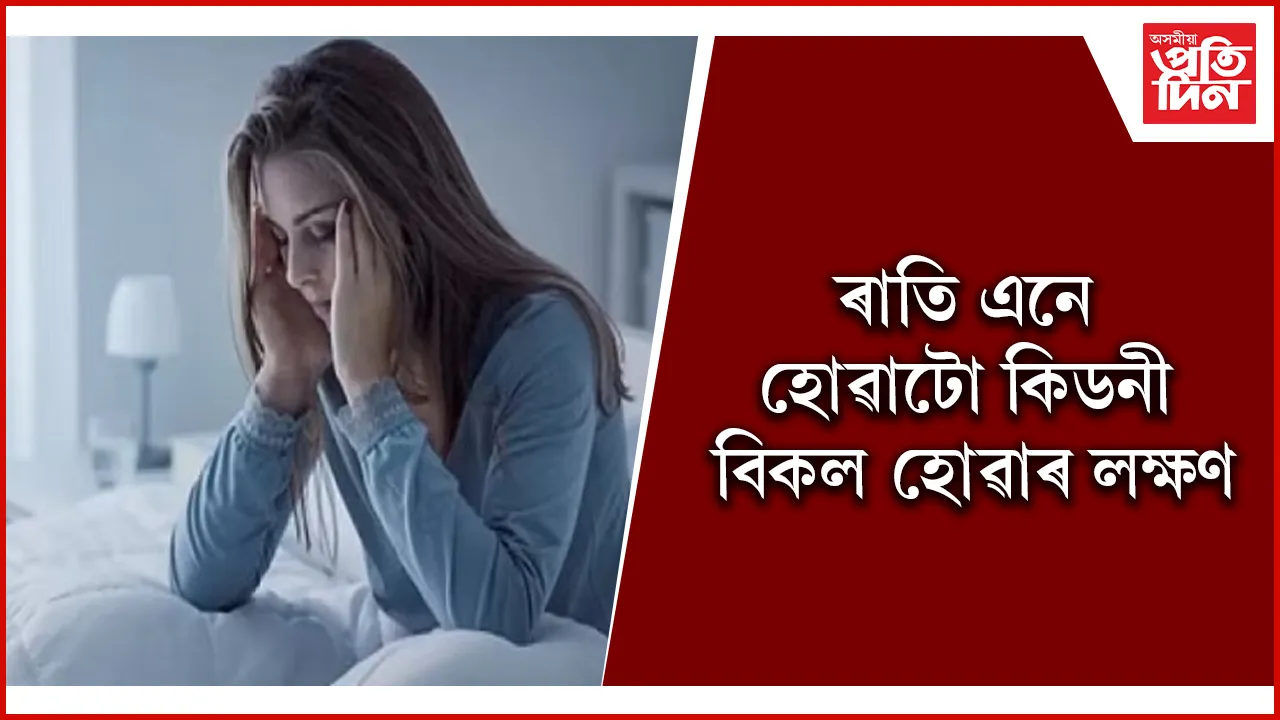 লক্ষণ seo