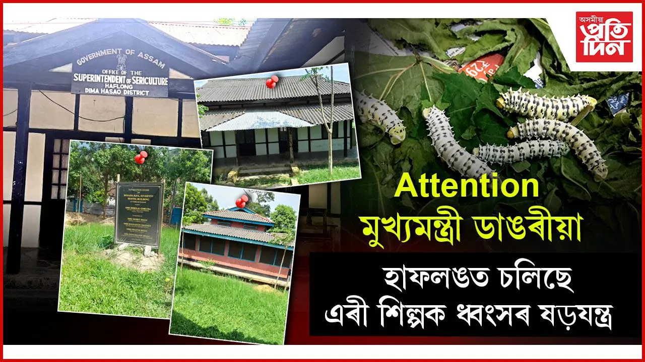 হাফলঙত ৰেছম বিভাগৰ ভূমি অবৈধ হস্তান্তৰ, বেদখলঃ আপুৰুগীয়া সম্পদৰ ধ্বংসযজ্ঞ ডিমা হাছাও স্বায়ত্ব শাসিত পৰিষদৰ