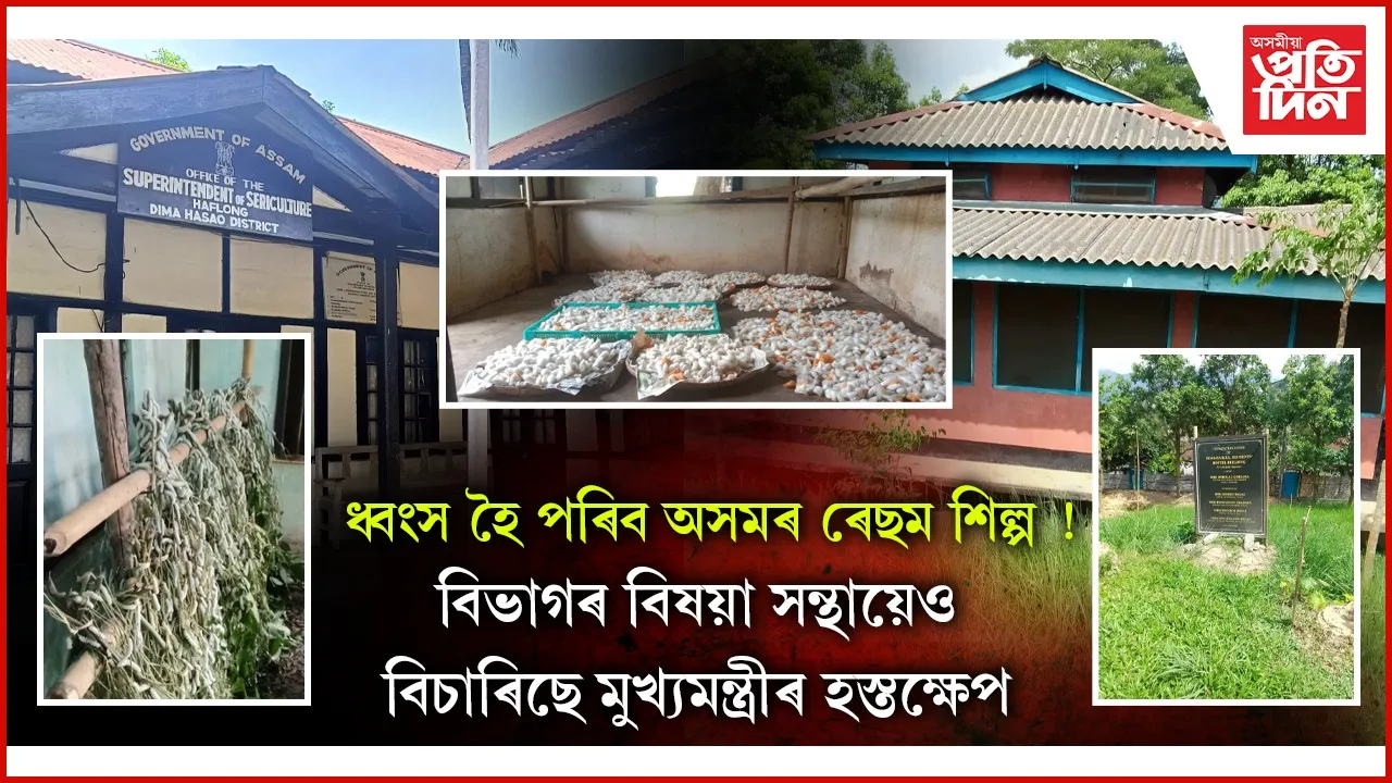 ডিমা হাছাও স্বায়ত্ব শাসিত পৰিষদৰ ষড়যন্ত্ৰত হাফলঙত আৰম্ভ এৰী শিল্পৰ মৃত্যুমুখী যাত্ৰা
