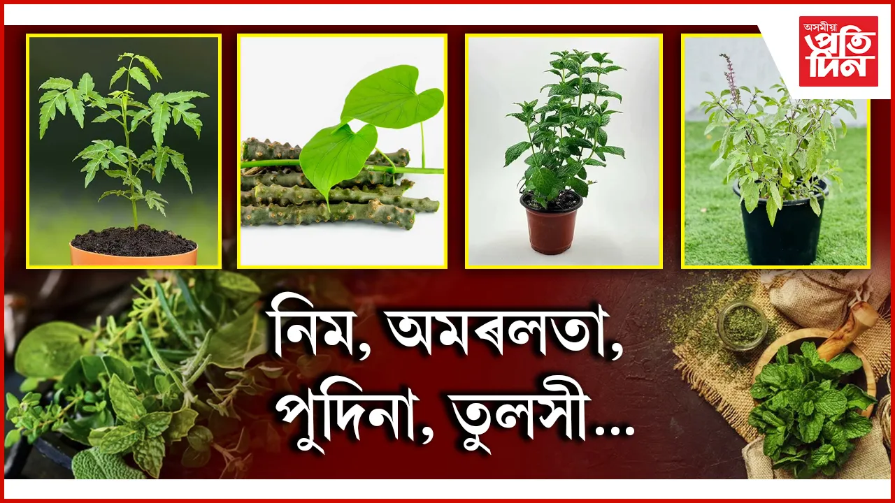 2৪৪৪৪৪৪৪৪৪৪৪৪৪৪৪৪৪৪৪৪৪৪৪৪৪৪৪৪৪৪