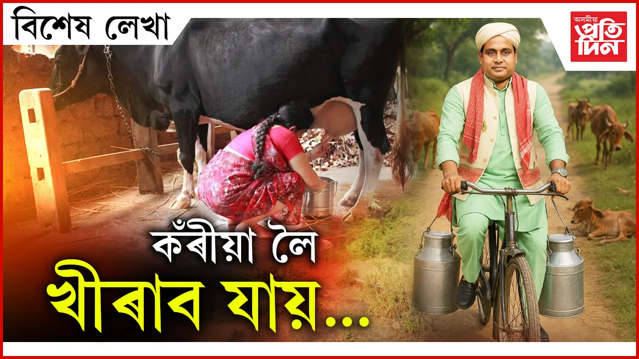 ap BIKHEKH LEKHA malla