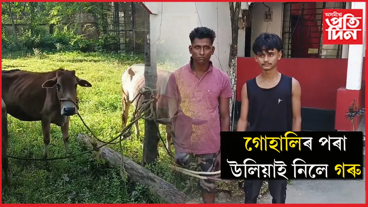 গৰুচোৰক আটক