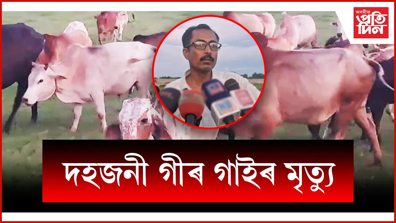 web ap gir