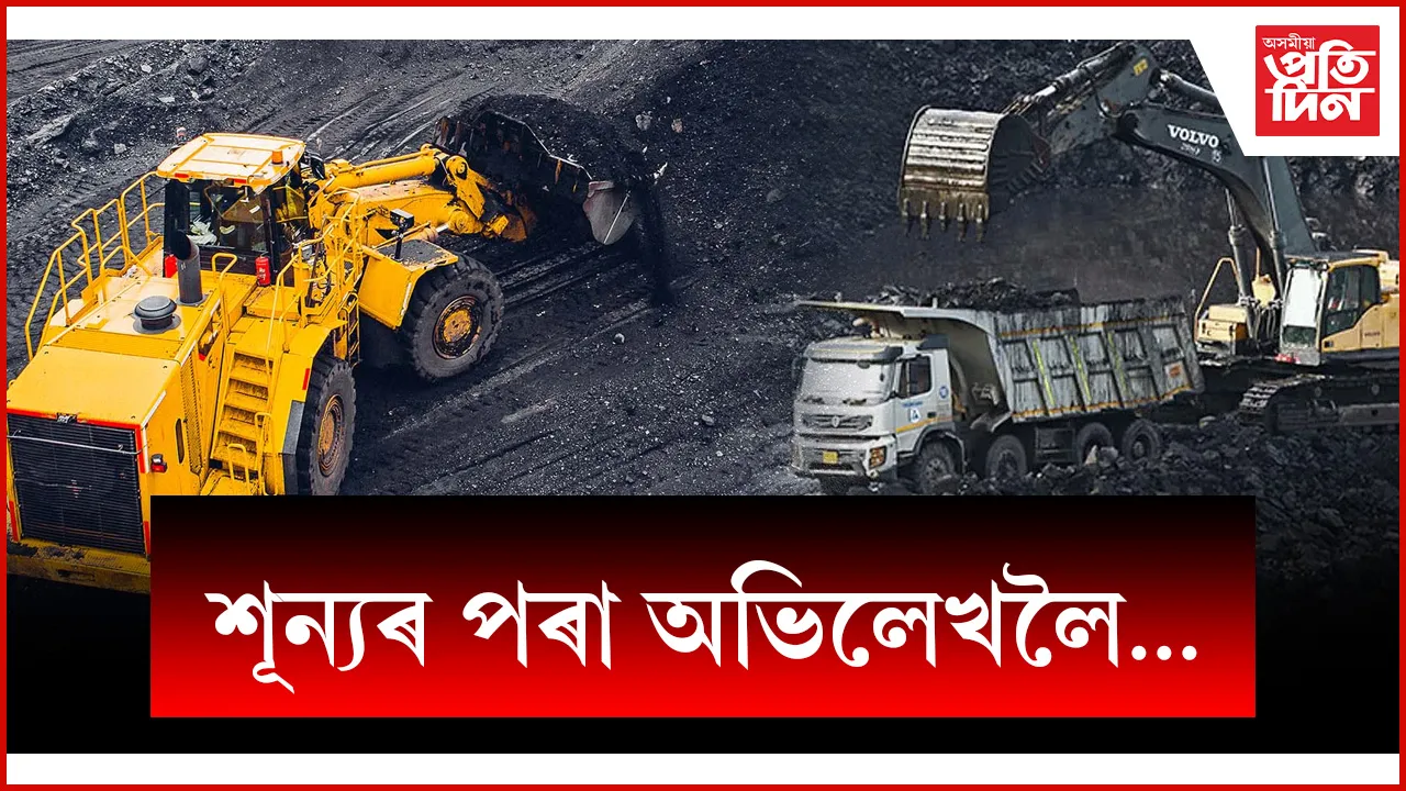 web ap koila