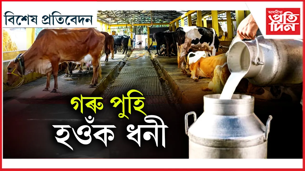বহুত ডাঙৰ গাখীৰৰ বজাৰঃ  স্বজনপ্ৰীতিক অতিক্ৰমী হ'ব লাগিব  স্বাৱলম্বী...
