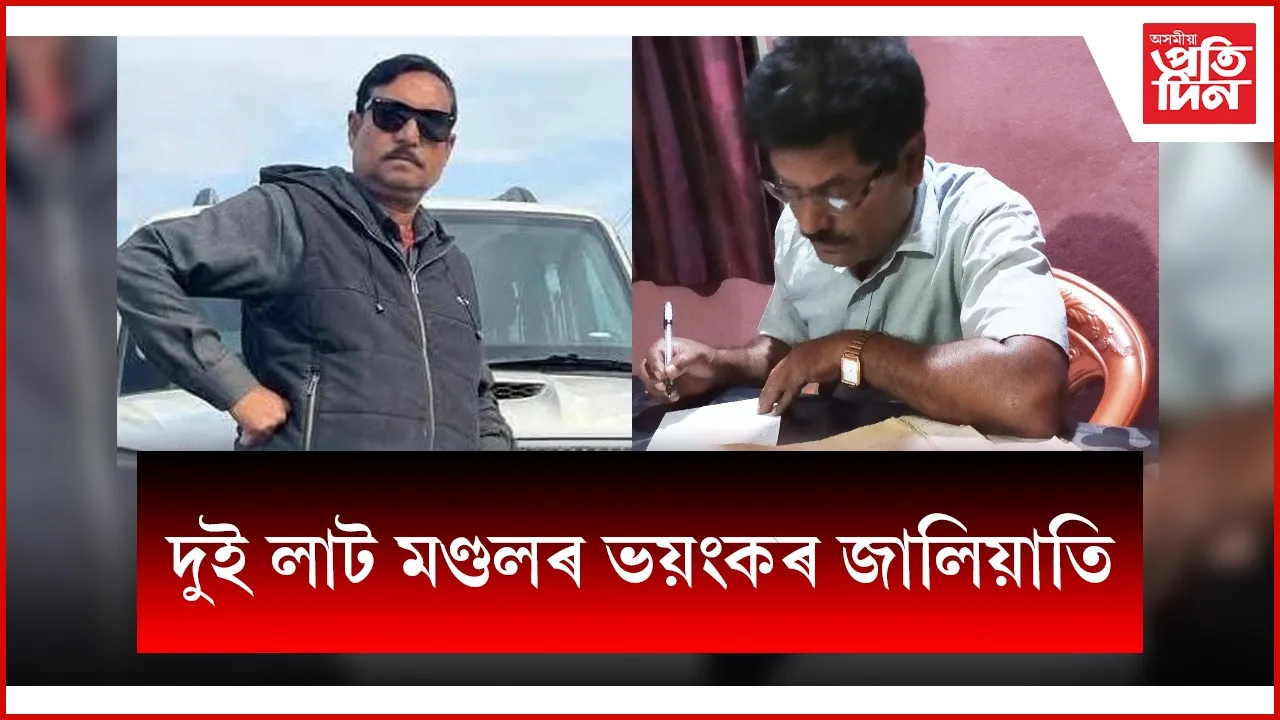 web ap MONDOL