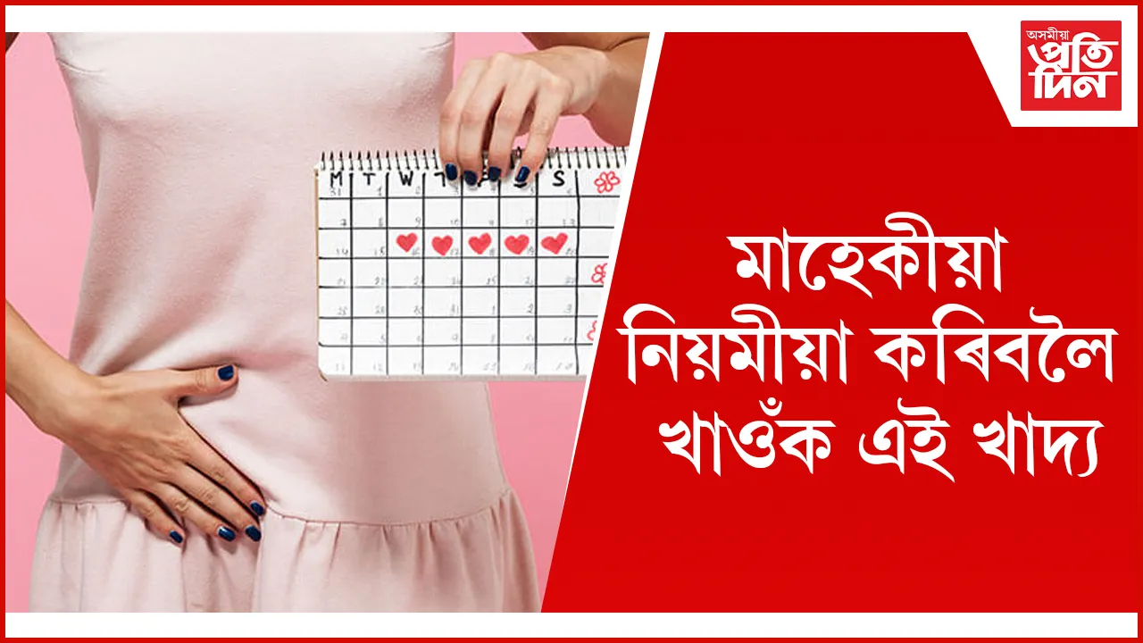 মাহেকীয়া seo